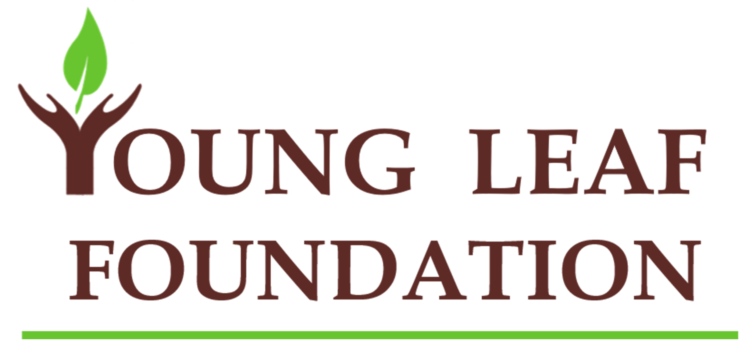 Youngleaf Galleries